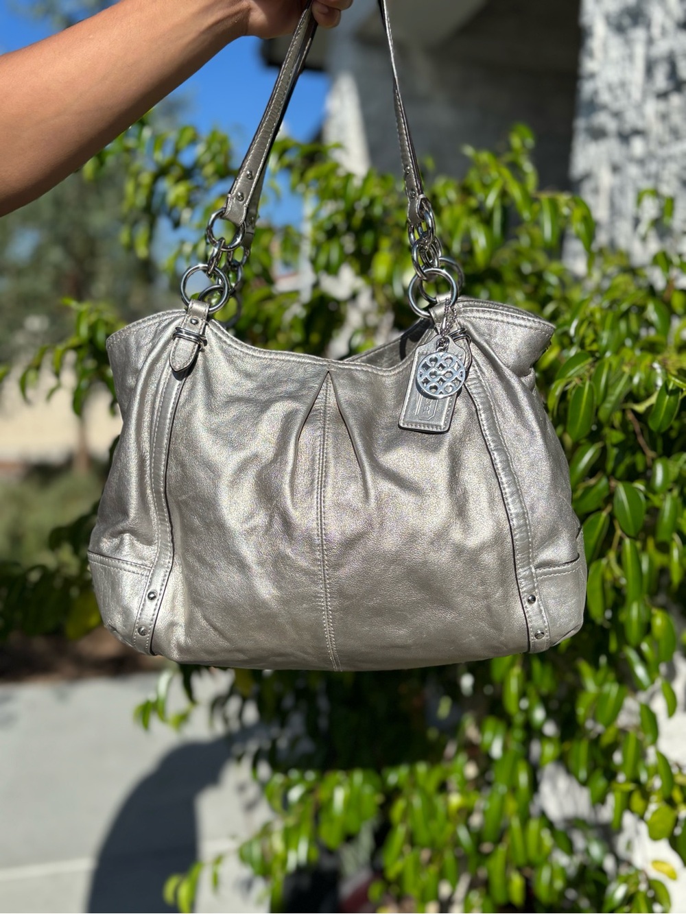 Sliver Coach Bag 🩶